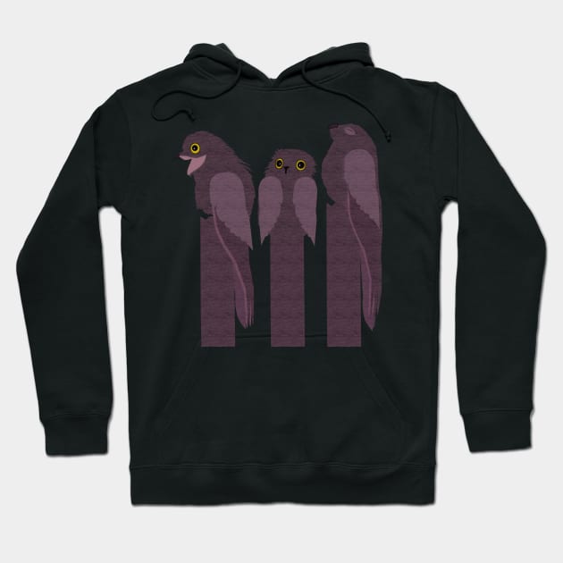 Potoo Bird Range Hoodie by Carla BaremB